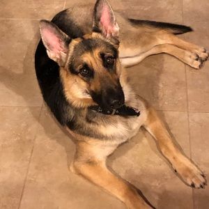 Meet your Posher, Aaliyah